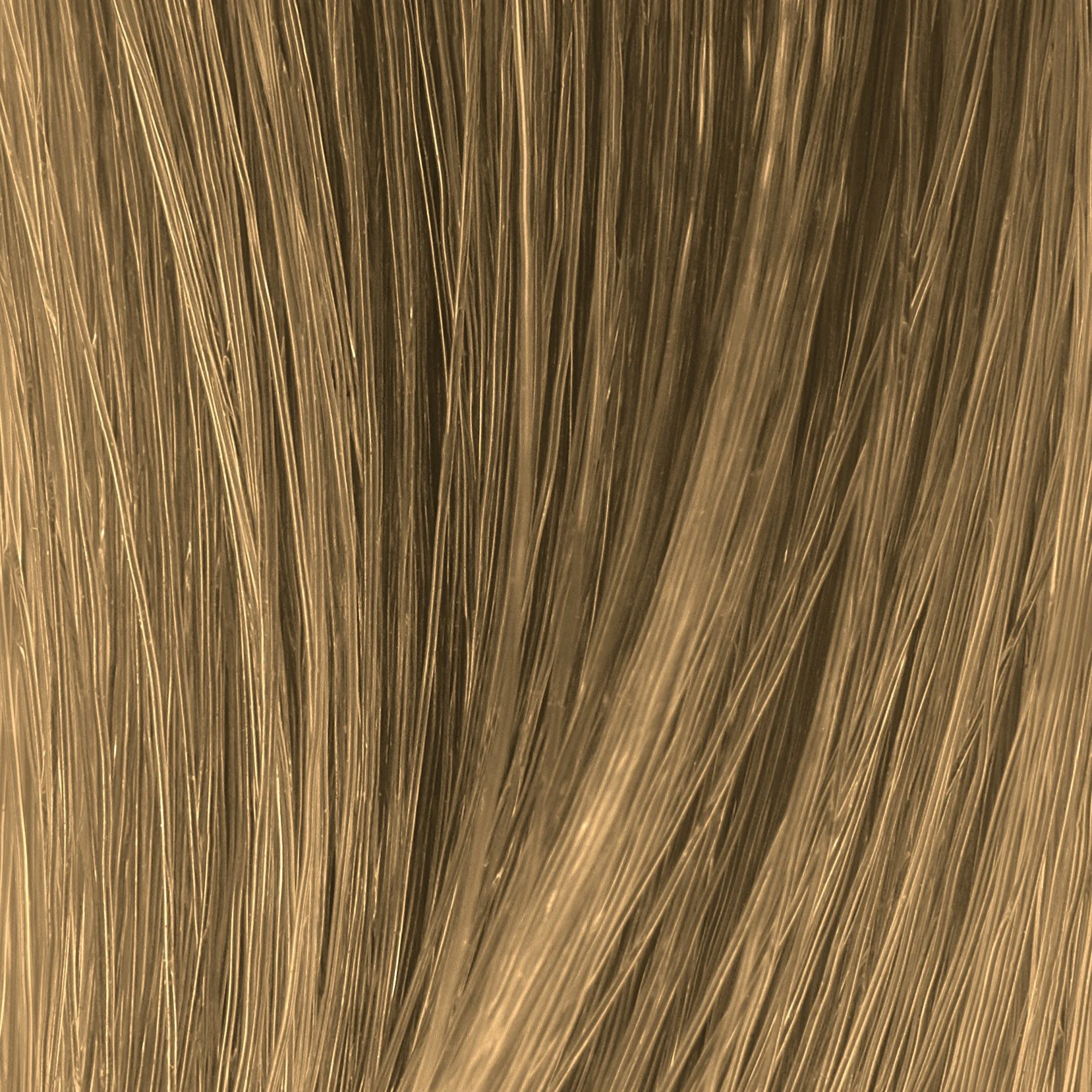 Thumbnail 25